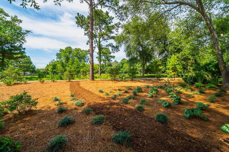 Natural landscape and outdoor views near in Johns Island (Image 18). Natural landscape and outdoor views near in Johns Island (Image 18).