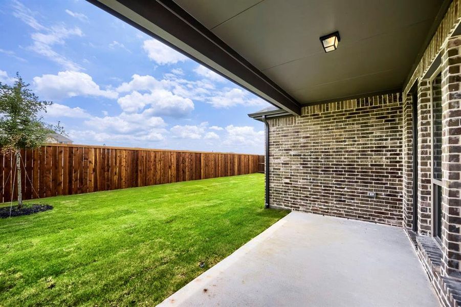 Expansive backyard featuring a manicured lawn, a full wood privacy fence, and a young tree Expansive backyard featuring a manicured lawn, a full wood privacy fence, and a young tree