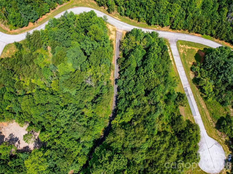 Natural landscape and outdoor views near  in Mill Spring (Image 19).