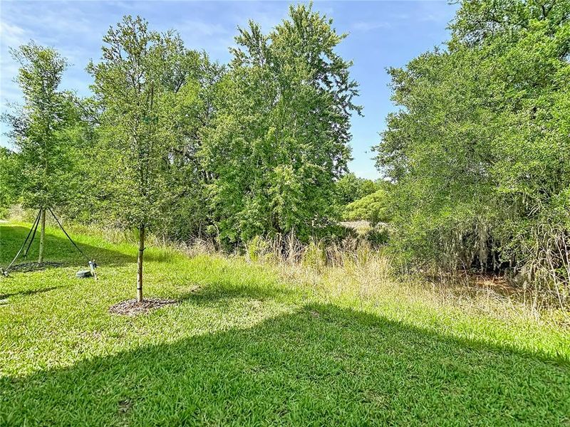 Natural landscape and outdoor views near  in Tampa (Image 70).