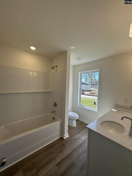 Furnished interior view inside a new home in Boykin Hills, Chapin (Image 7).