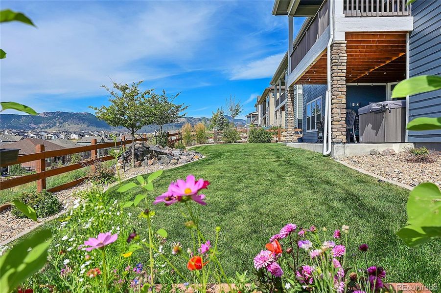 Back yard/mountain views