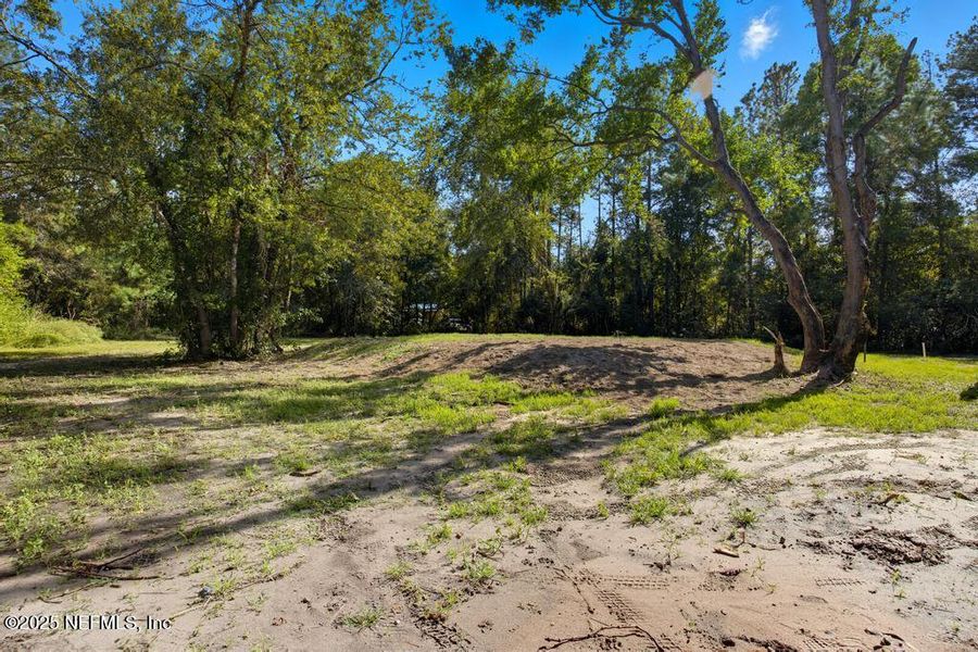 Natural landscape and outdoor views near  in Macclenny (Image 34).