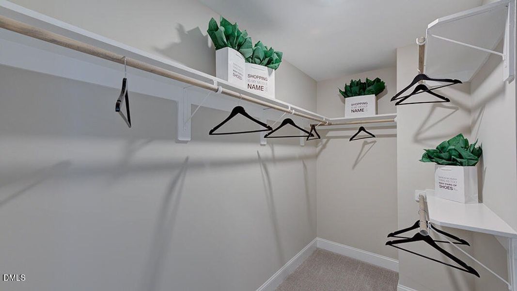 Wayland_19 Wayland_19