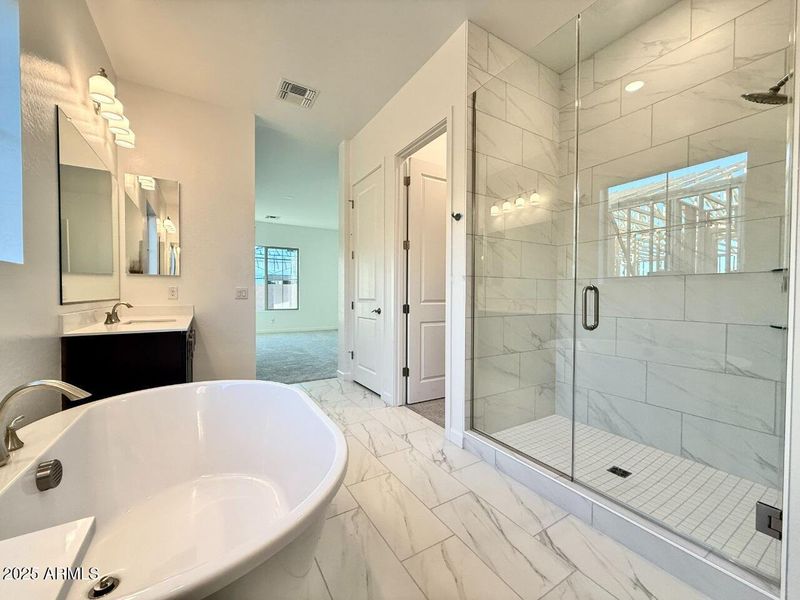 018.1 Primary shower