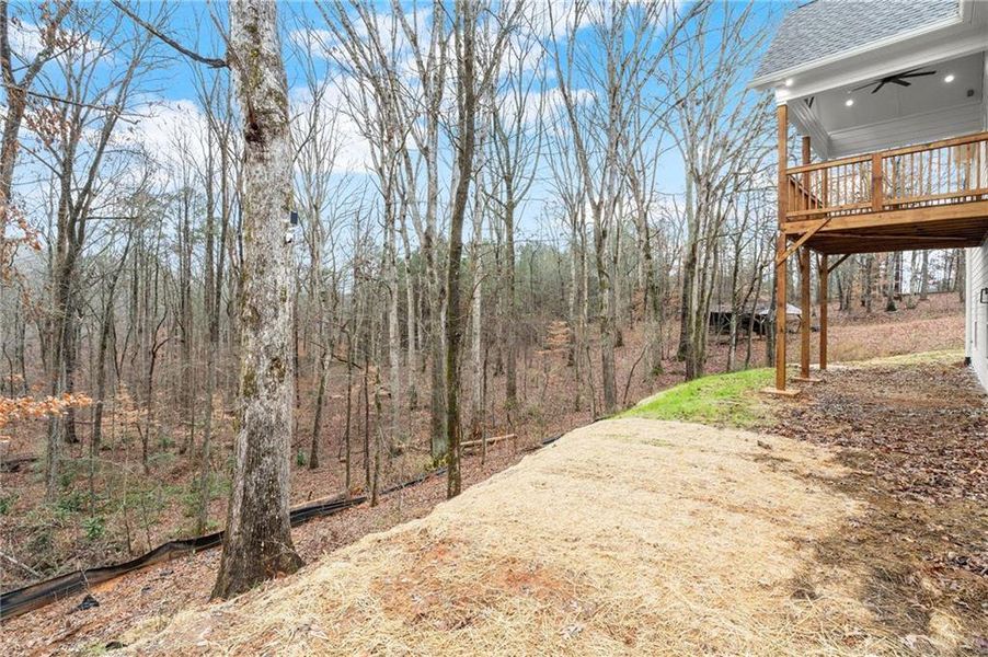 Exterior details and patio area of a home in , Waleska (Image 26). Exterior details and patio area of a home in , Waleska (Image 26).