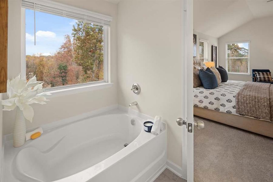 Furnished interior view inside a new home in Etowah Landing, Ball Ground (Image 6).