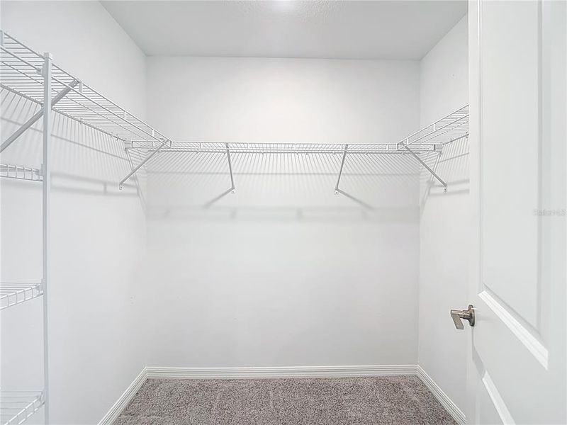 Spacious, unfurnished interior of a new home in , Land O' Lakes (Image 24).