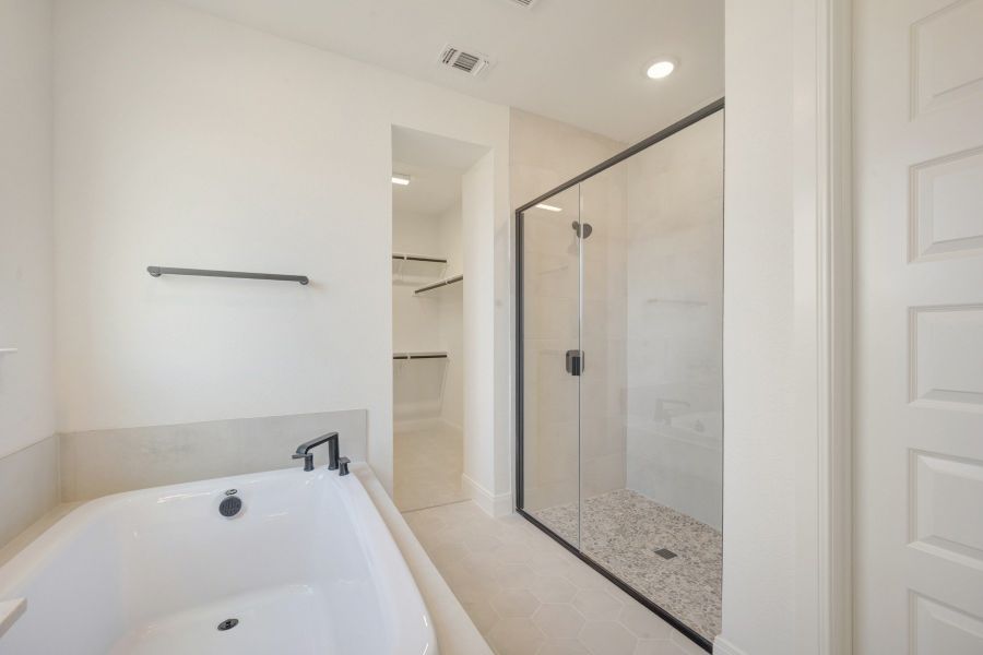 Owner's Bath