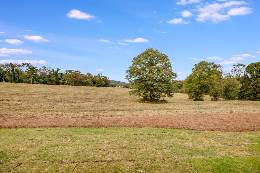 Natural landscape and outdoor views near Parmer Farms in Roopville (Image 37).