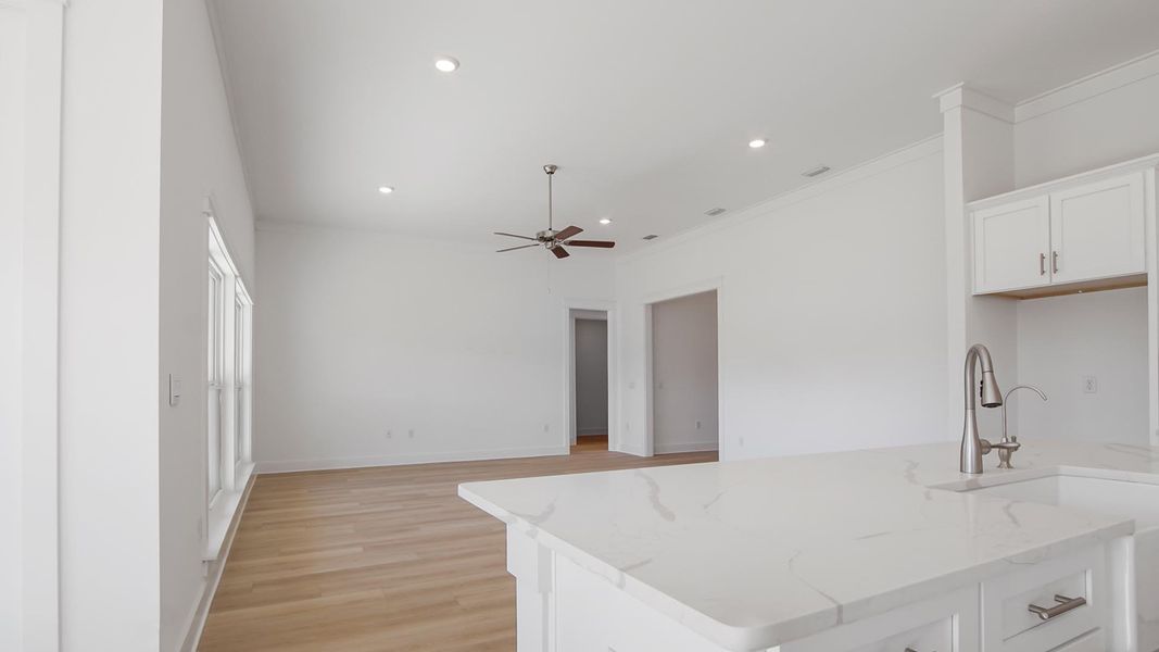 Image 30 representing the Camellia by D.R. Horton in Breakfast Point East Phase II, Panama City Beach, FL.