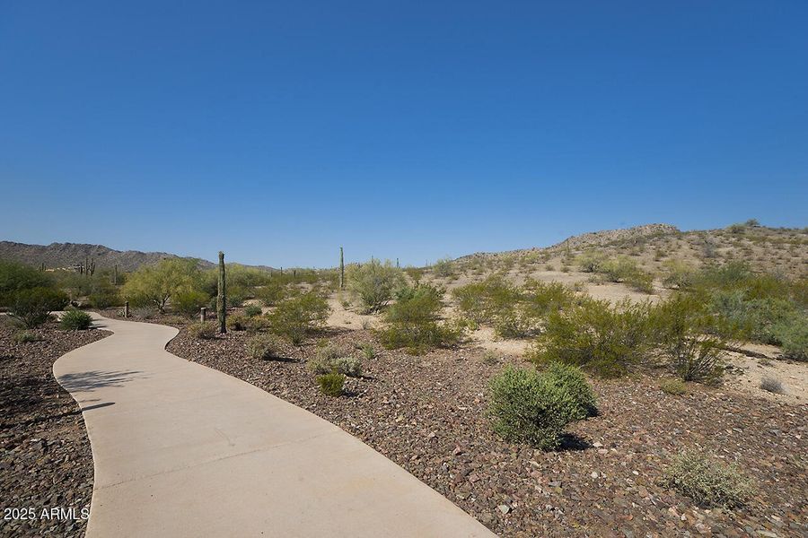 estrella_mountain_04