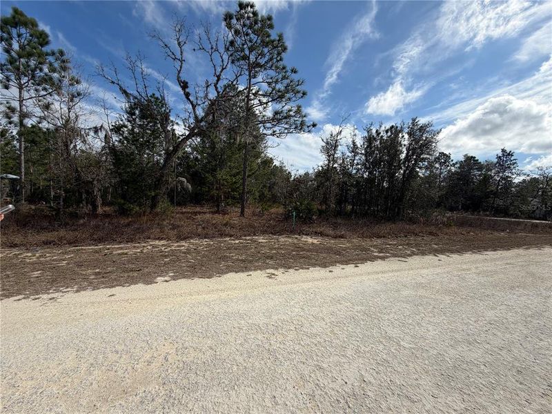Site preparation for new homesites in , Brooksville (Image 5).