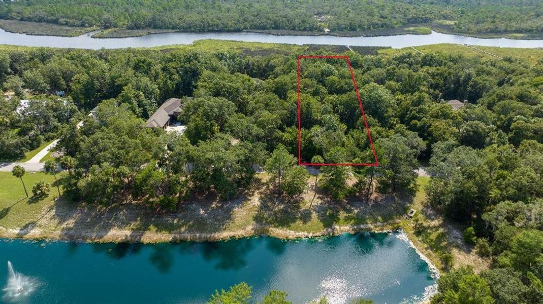 Natural landscape and outdoor views near  in Flagler Beach (Image 33).