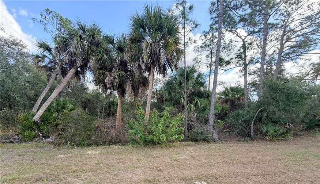 Natural landscape and outdoor views near in Port Charlotte (Image 28). Natural landscape and outdoor views near in Port Charlotte (Image 28).