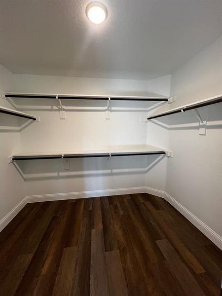 Master walk in closet with dark hardwood / wood-style floors