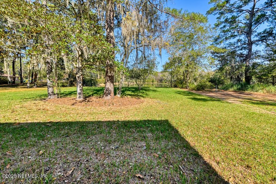 Natural landscape and outdoor views near  in Jacksonville (Image 24).