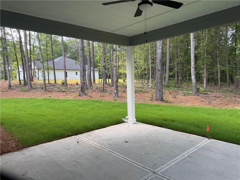 Exterior details and patio area of a home in The Fields of Walnut Creek, Pendergrass (Image 3).