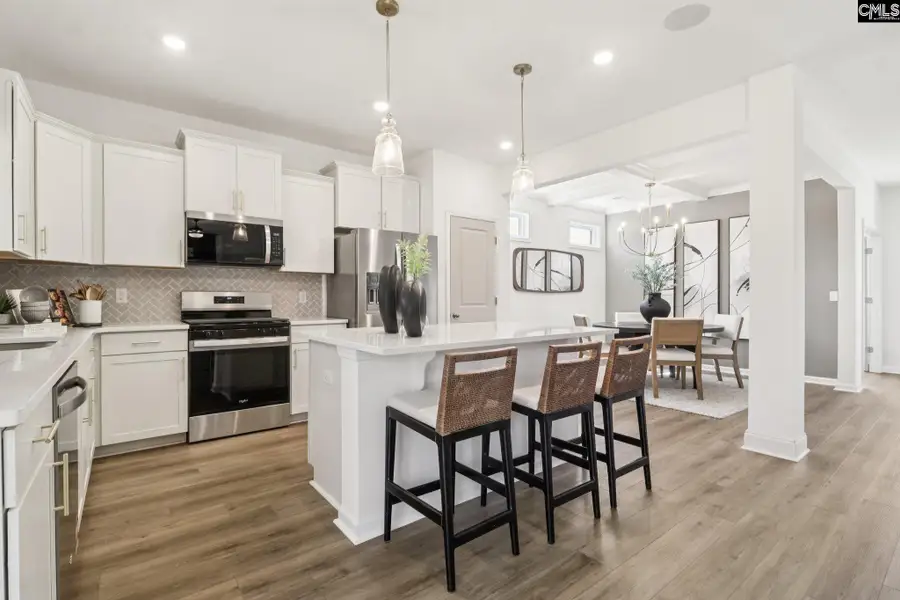 Furnished interior view inside a new home in Boykin Hills, Chapin (Image 2).