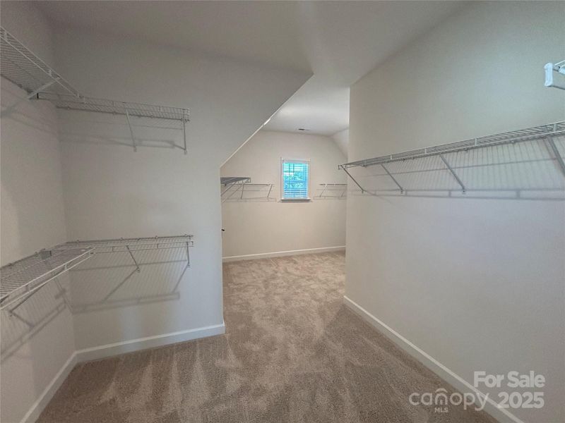 Spacious, unfurnished interior of a new home in Brighton Park, Mount Pleasant (Image 23).