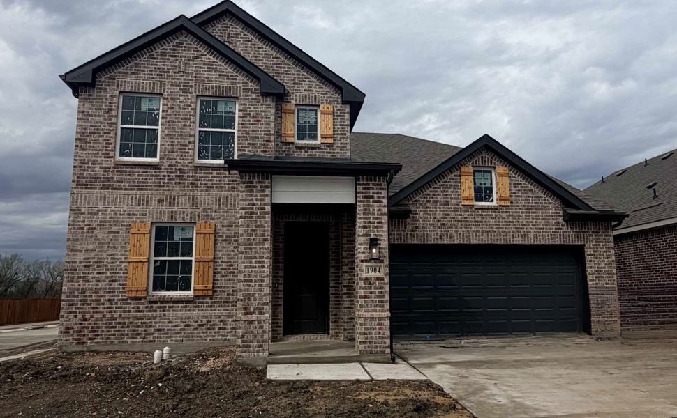 Exterior Design Construction Progress