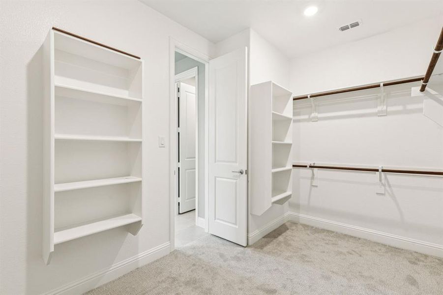 Walk in closet featuring carpet flooring
