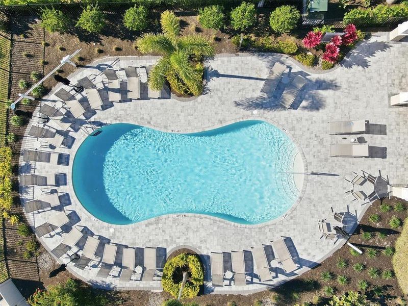 Community amenities in , Sarasota (Image 31).