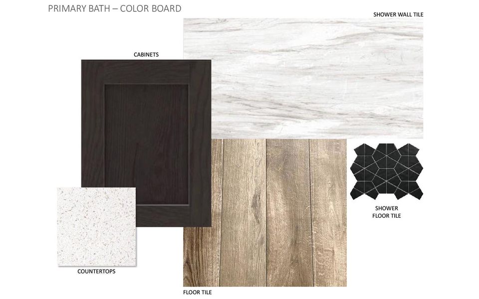 Image 11 of a home in Traditional Homes at Easton Park.