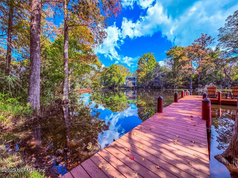 Natural landscape and outdoor views near  in Jacksonville (Image 59).