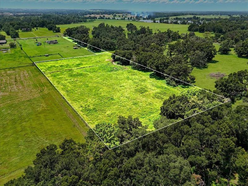 Natural landscape and outdoor views near  in Dade City (Image 17).