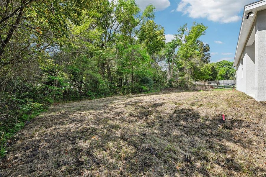 Natural landscape and outdoor views near  in Deland (Image 23).