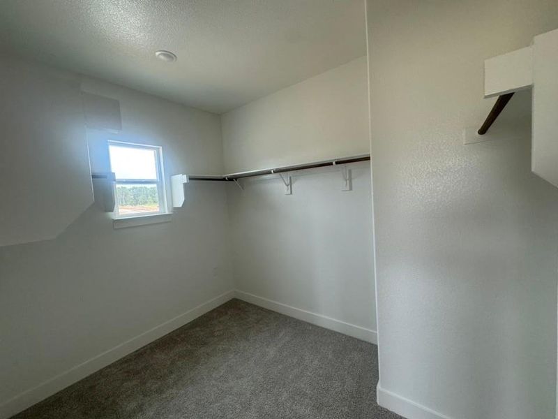 Carpeted walk-in closet featuring a single window, recessed lighting, and white walls with baseboards Carpeted walk-in closet featuring a single window, recessed lighting, and white walls with baseboards