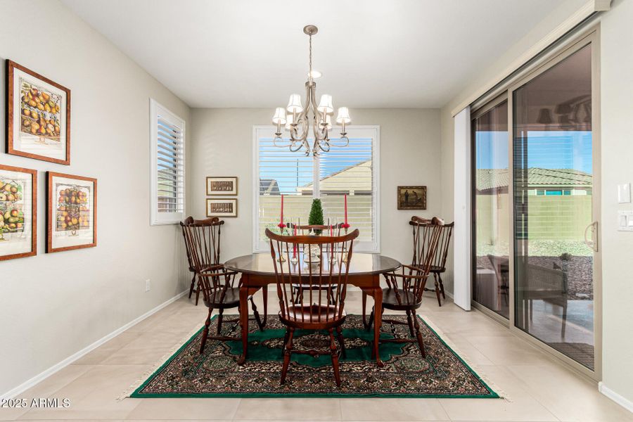 13-Cactus Wren 13-Cactus Wren