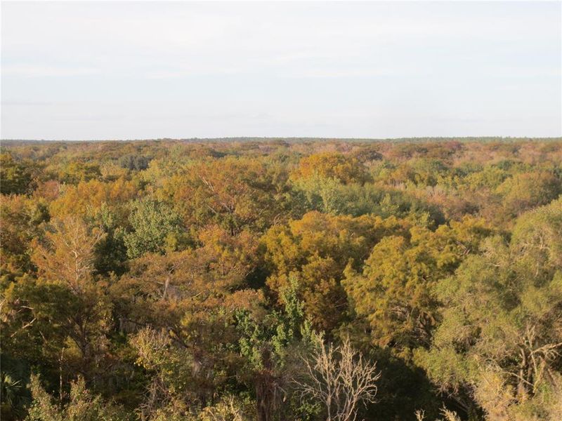 Image 24 of a home in .