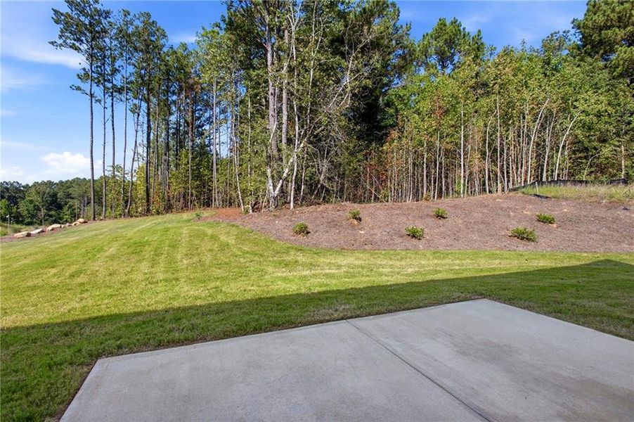 Natural landscape and outdoor views near  in Ellenwood (Image 57).