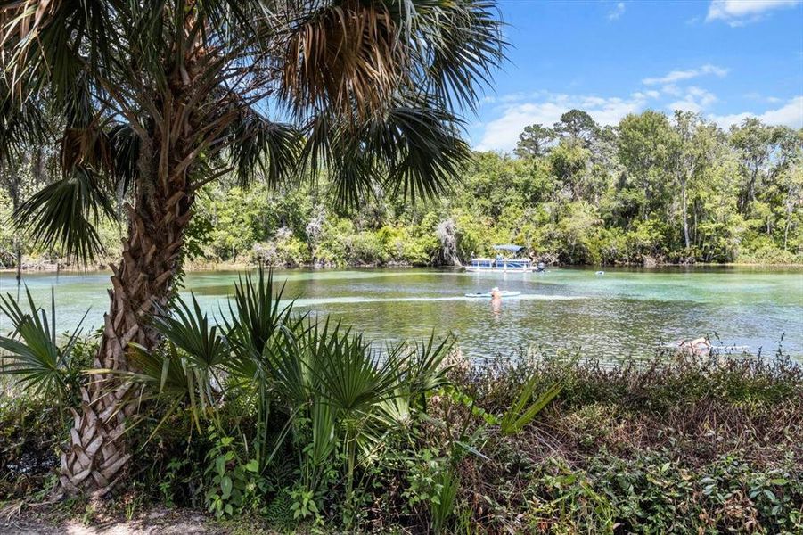 Natural landscape and outdoor views near  in Dunnellon (Image 36).