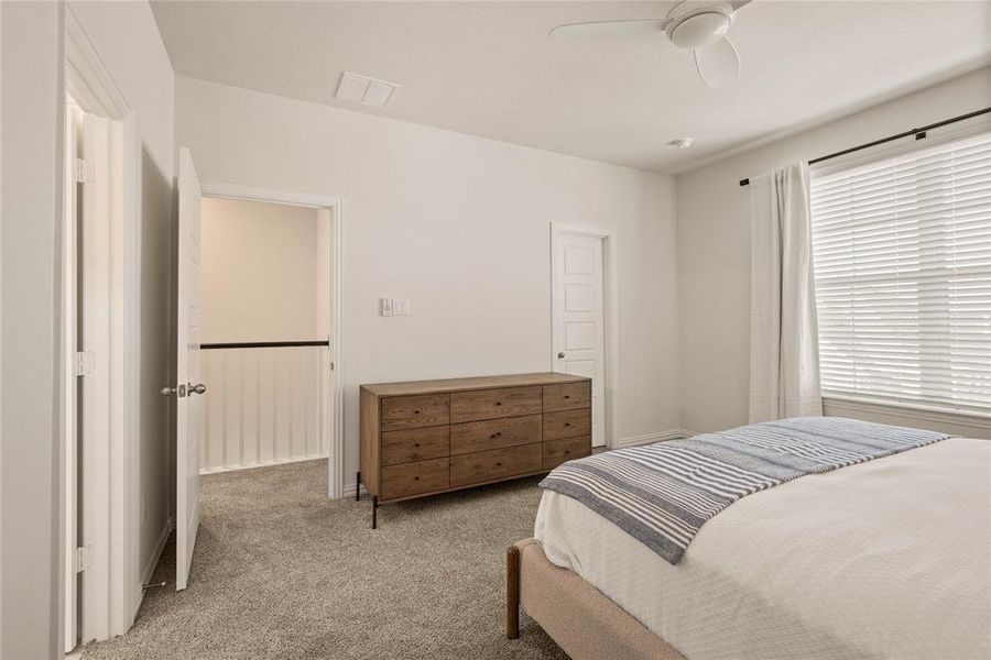 Carpeted bedroom with multiple windows and ceiling fan