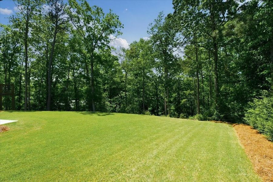 Natural landscape and outdoor views near  in Carrollton (Image 51).