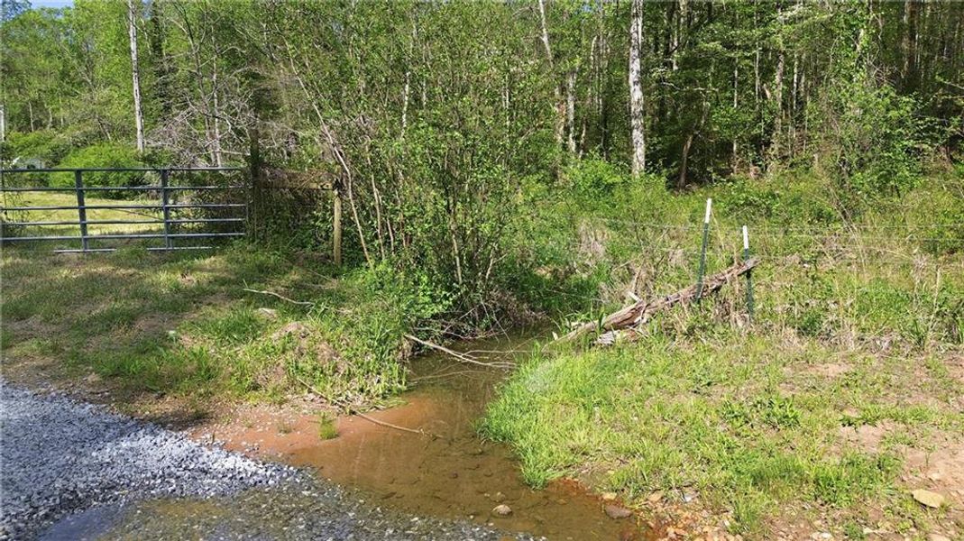 Natural landscape and outdoor views near  in Demorest (Image 55).