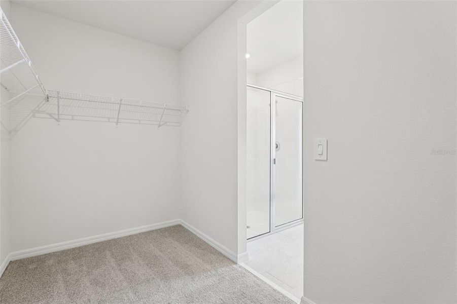 Spacious, unfurnished interior of a new home in Lake Deer Estates - Signature Series, Poinciana (Image 33).