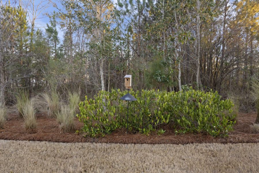 Natural landscape and outdoor views near  in Summerville (Image 52).