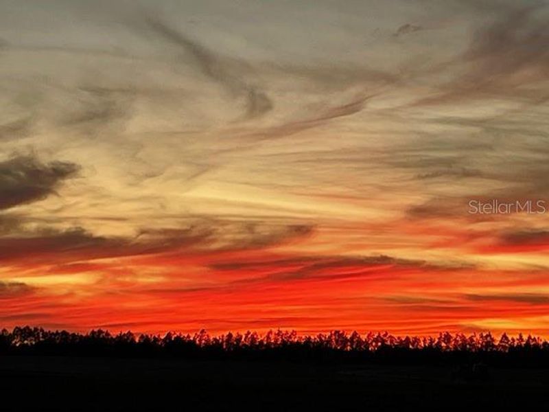 Natural landscape and outdoor views near  in Ocala (Image 45).