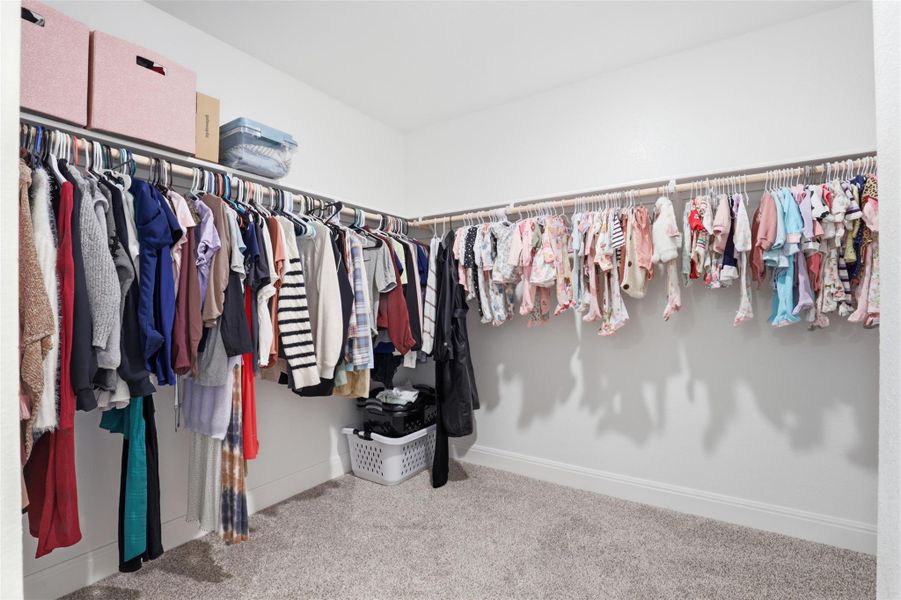 Walk-in closet featuring carpet flooring, crisp white walls, and extensive built-in shelving and hanging rods