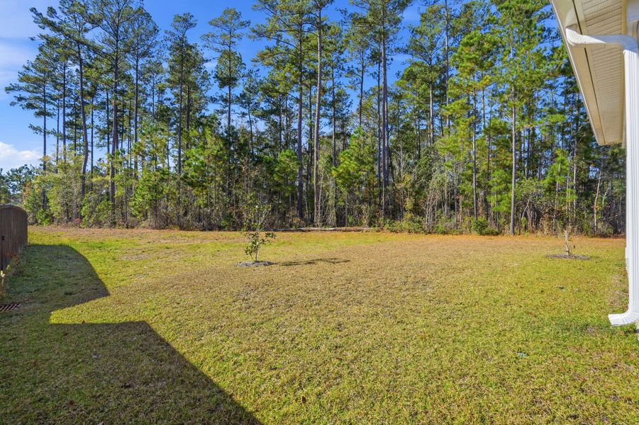 Exterior details and patio area of a home in , Summerville (Image 26). Exterior details and patio area of a home in , Summerville (Image 26).