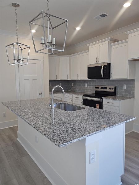 Furnished interior view inside a new home in Grissett Landing, Conway (Image 5).