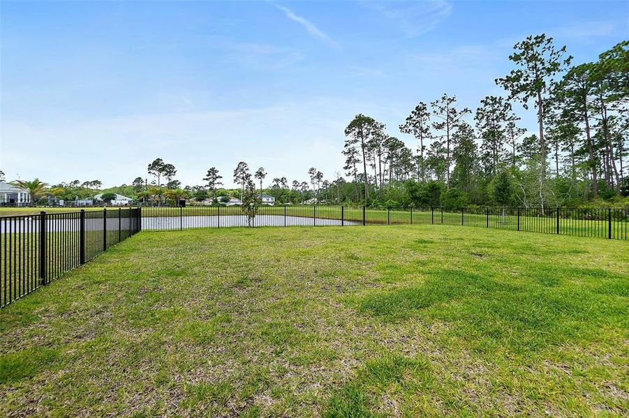 Natural landscape and outdoor views near in Palm Coast (Image 55). Natural landscape and outdoor views near in Palm Coast (Image 55).