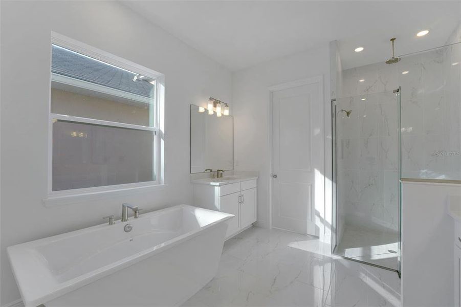 Furnished interior view inside a new home in Palms at Windermere, Windermere (Image 14). Furnished interior view inside a new home in Palms at Windermere, Windermere (Image 14).