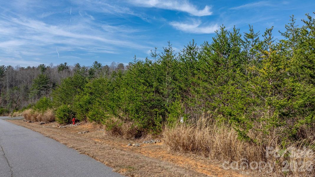 Natural landscape and outdoor views near  in Morganton (Image 21).