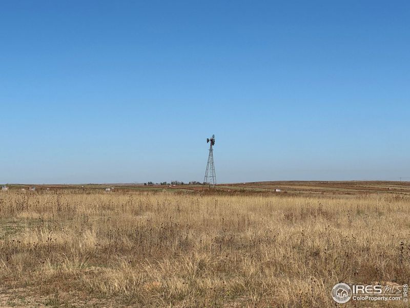 Natural landscape and outdoor views near in Briggsdale (Image 18). Natural landscape and outdoor views near in Briggsdale (Image 18).