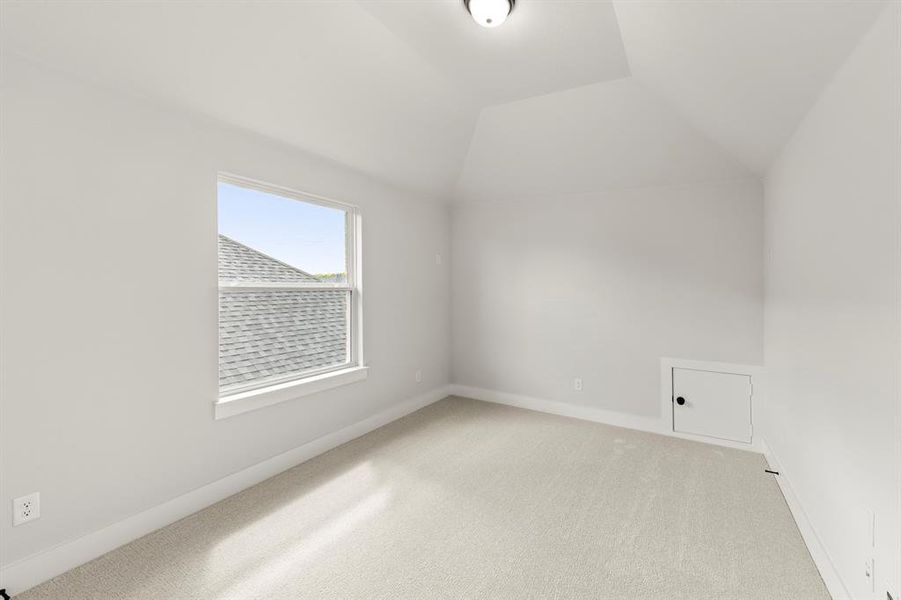 24. 1704 Possum - Media